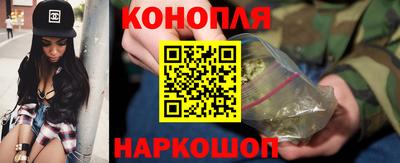 прущие грибы Пыть-Ях