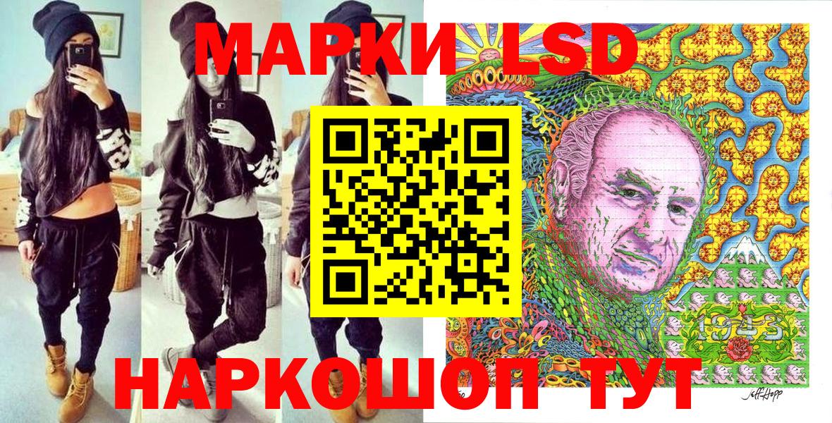 Псилоцибиновые грибы Северск