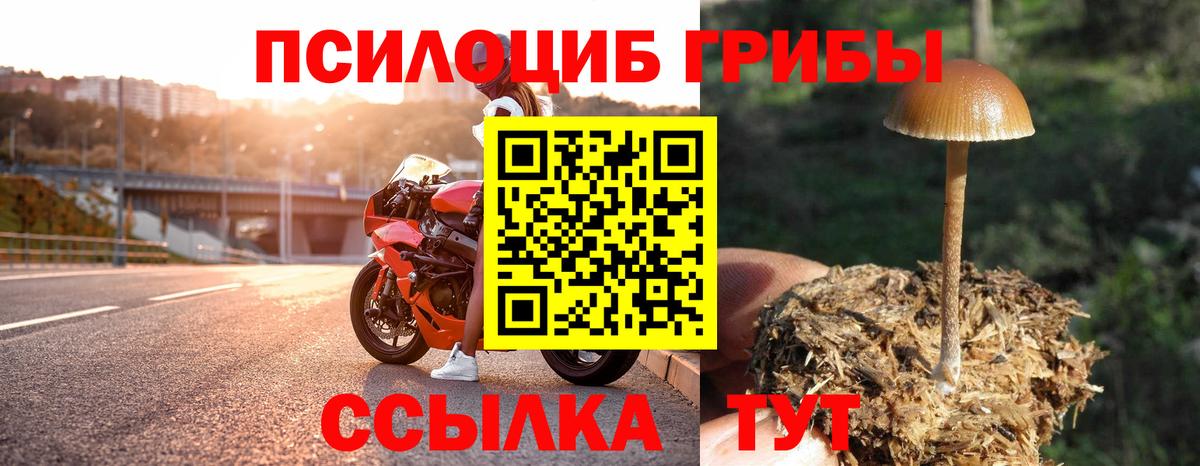 Галлюциногенные грибы GOLDEN TEACHER  цены   Северск  Вход с VPN 